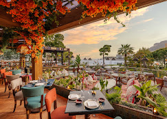Coya Monte-Carlo