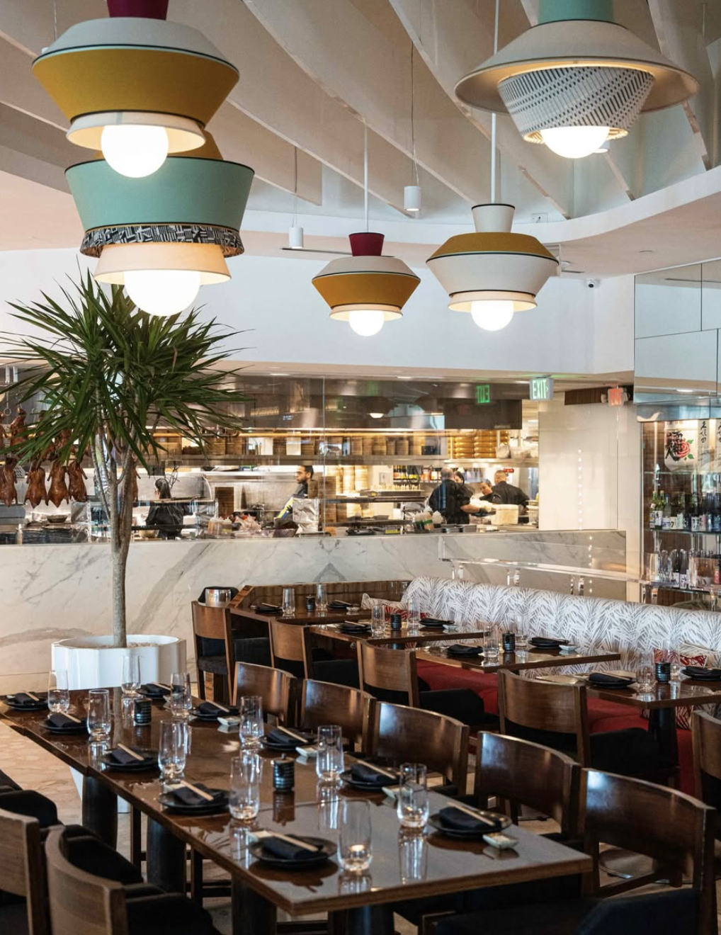 Novikov Miami