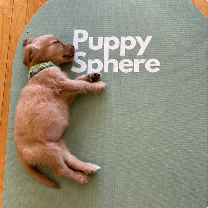 Puppy sphere